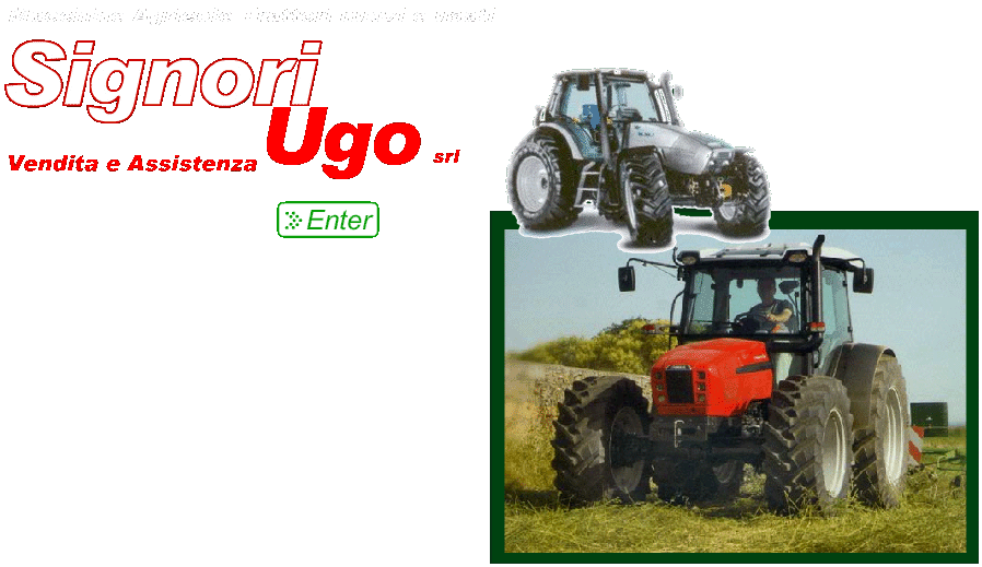 Trattore agricolo usato